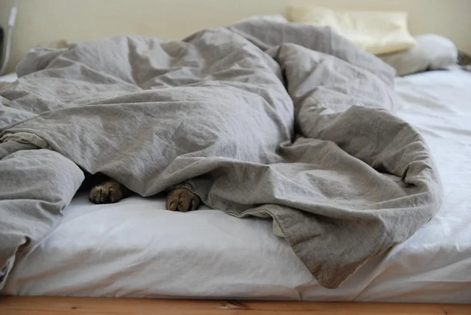 La luminothérapie du matin peut améliorer le sommeil