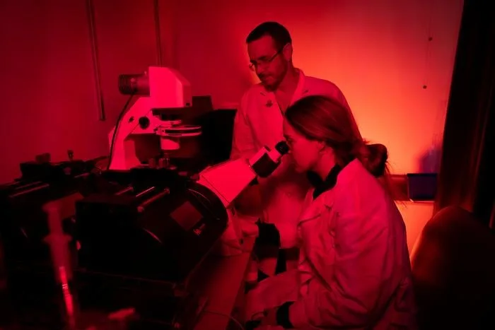 La luminothérapie rouge réduit considérablement la formation de caillots sanguins